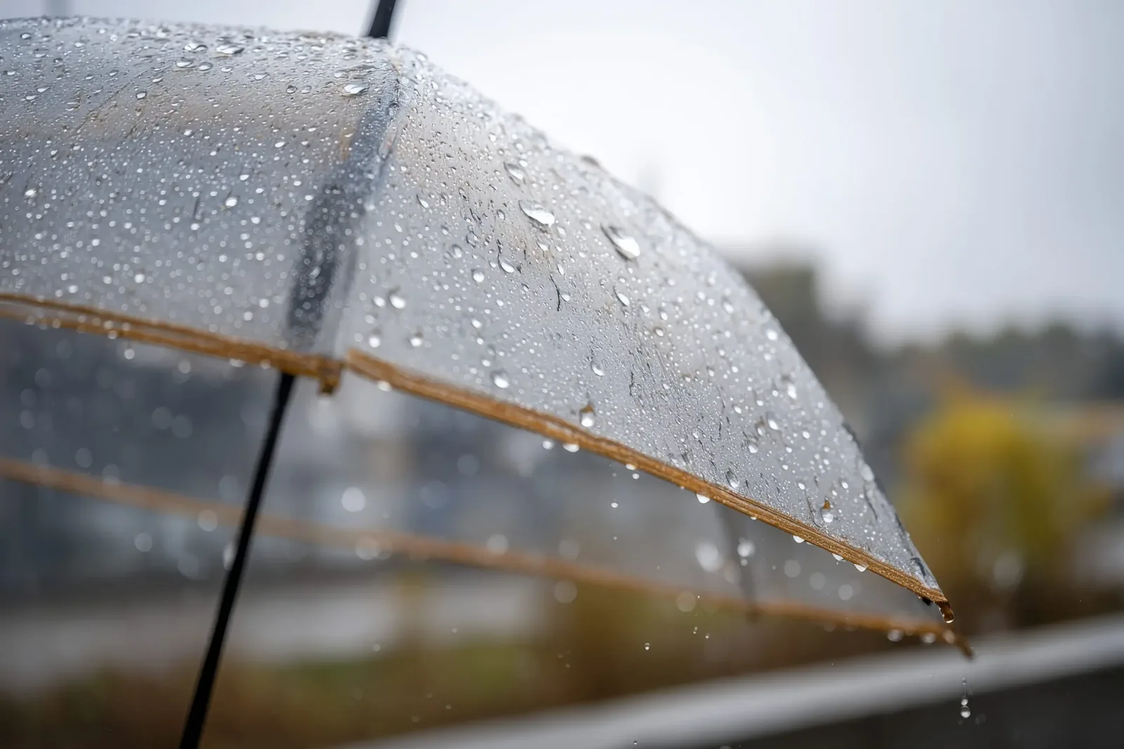 Clear umbrella covered in raindrops