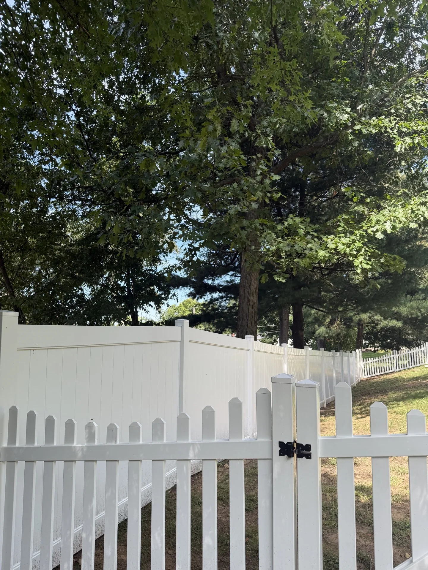 White privacy fence meeting a white picket fence and gate under large trees