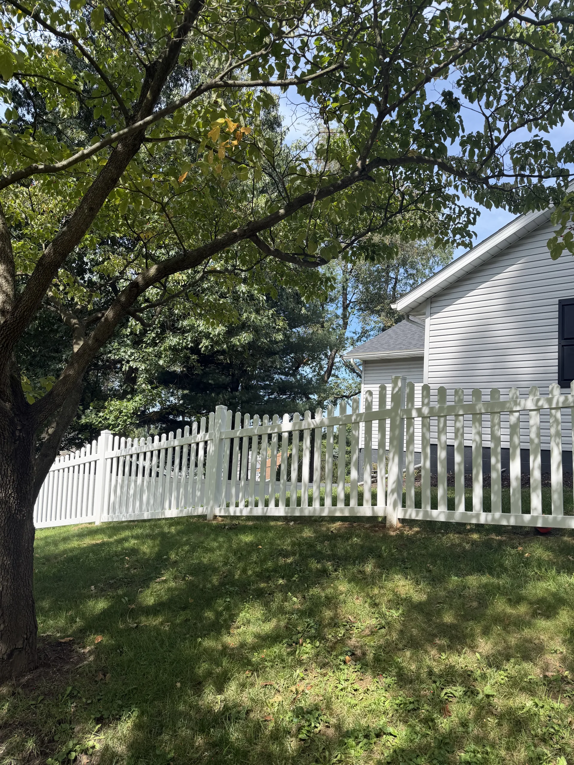White picket fence curving around a backyard beside a mature shade tree